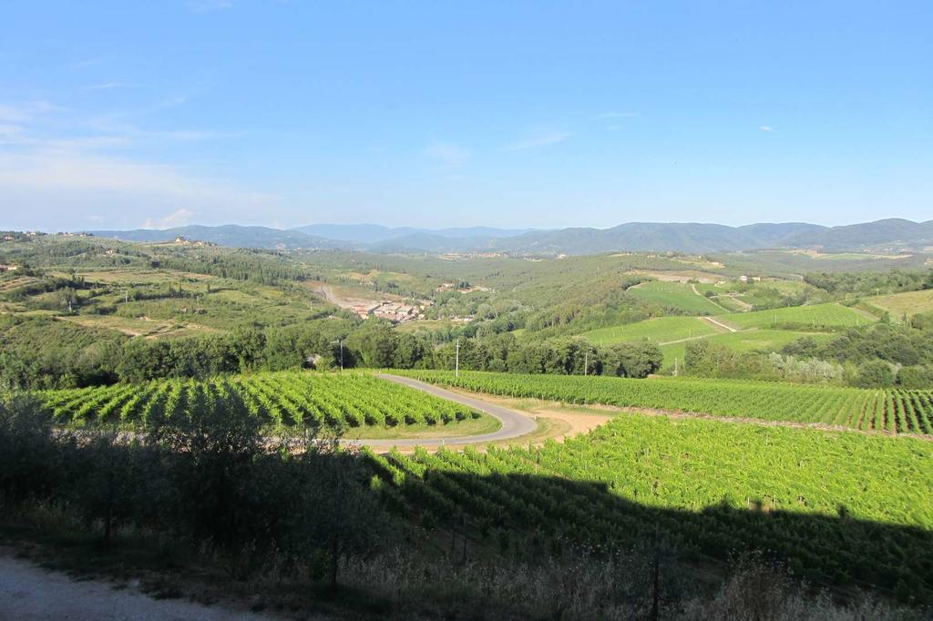 Winery Houses In Chianti Mercatale Val Di Pesa Экстерьер фото