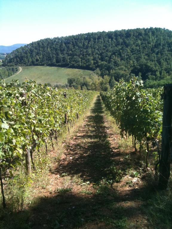 Winery Houses In Chianti Mercatale Val Di Pesa Номер фото